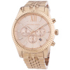 Hodinky Michael Kors MK8319