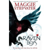 Raven Cycle 1. The Raven Boys