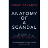 Anatomy of a Scandal