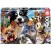 Puzzle Yard Buddies Selfie Educa 500 dielov a Fix lepidlo
