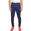 Nike Kalhoty JR Dry Park 20 451: Velikost - 128 cm (BV6902-451) - 21539_187400
