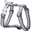Postroj RD 12 mm x 30-44 cm - Stars White on Grey