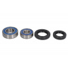 Opravná sada ložisek kol All Balls přední YAMAHA YFM 660 R Raptor rok 01-05