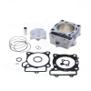 ATHENA Sady valca ATHENA P400210100071 Standard Bore (with gaskets) d 79 mm, 250 cc