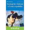 E-kniha Strategické vládnutí a Česká republika - Martin Potůček