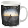 PINK FLOYD ENDLESS RIVER HRN