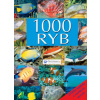 1000 ryb