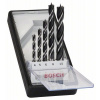 BOSCH Súprava špirálových vrtákov do dreva Robust Line, 5dielna 4; 5; 6; 8; 10 mm 2607010527