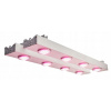 Osvetlenie pre rastliny - COB PLANTALUX LED SVETLO série FX 300W (Osvetlenie pre rastliny - COB PLANTALUX LED SVETLO série FX 300W)