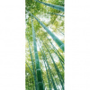 Dverová fototapeta - DV0064 - Stromy 91cm x 211cm - Vliesová fototapeta
