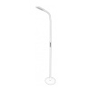 LED Stojacia lampa Remo na diaľkové ovládanie, 9W, 500lm, biela farba | Avide