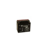 Yuasa YTX12-BS