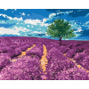 ZUTY Maľovanie podľa čísel POLE LEVANDULÍ SO STROMOM Rámovanie vypnuté plátno na rám Rozmer 80x100 cm