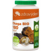 Chaga BIO 180 kapsúl