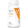 VetExpert Immune system 30 cps (Twist Off)