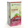 MEGAFYT Bylinková lekáreň DOJČENIE ovocný čaj 20x1,5 g (30 g)