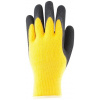 ARDON PETRAX WINTER A9190/10-SPE