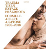 Trauma tíseň extáze prázdnota - Formule afektu a patosu 1900-2018 - Ladislav Kesner