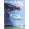 The Weather - Maike Biederstadt, Prestel