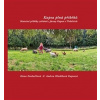 Kapsa plná příběhů - Denisa Weis; Anna Hlavatá; Andrea Hladíková