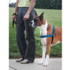 PetSafe postroj EasyWalk Deluxe