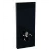 Geberit Monolith Sanitárny modul pre závesné WC, 114 cm, spodný prívod vody, čierna 131.031.SJ.6