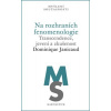 Na rozhraních fenomenologie Transcendence, jevení a zkušenost