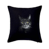 Zadumaná mačka - Vankúš 50x50 - 50x50 - Vrátane výplne ( Čierna )