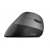 Trust Bayo Ergo Wireless Mouse 24731