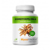 MycoMedica Cordyceps CS-4 90 kapslí - vegan