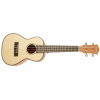 Cascha HH 2151 Concert Mahogany Ukulele Set (Koncertné akustické ukulele)