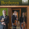 BEETHOVEN: String Trio Op.3, Serenade Op.8; Trio Italiano d'Archi (CD) (BRILLIANT CLASSICS)