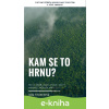 E-kniha Kam se to hrnu? - Jana Fischerová