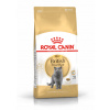 ROYAL CANIN BRITISH SHORTHAIR 10 KG