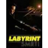 Labyrint smrti - DVD