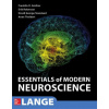Essentials of Modern Neuroscience (Erik Roberson,Franklin Amthor,David G. Standaert)(Brožovaná)