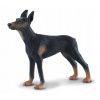 PES RASY DOBERMAN - CollectA - 88086 - L