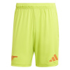 adidas Arsenal Goalkeeper Shorts 2024 2025 Adults Yellow S
