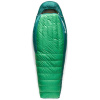SEA TO SUMMIT Ascent -9C Down Sleeping Bag Regular Rain Forest Green