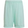 Adidas Entrada 22 Jr HC5058 shorts (92386) Black 128 cm