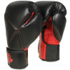 Boxerské rukavice DBX BUSHIDO B-2v15 10 oz