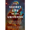 The Secret Life of the Universe