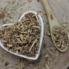 Ligurček lekársky - koreň narezaný - Levisticum officinale - Folium levistici 50 g