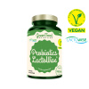 GreenFood Nutrition Probiotics LactoWise® 60 kapsúl