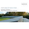 Visotzky, D.M. / Zawodnik, Béatrice - PICTURES OF NEW YORK (CD) (NEOS)