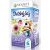 MEGAFYT Detský čaj S ECHINACEOU 20x2 g (40 g)