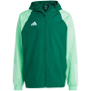 Adidas Tiro 23 Competition All Weather M IC4570 jacket (182836) Black/Green M