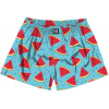 pánske trenírky HORSEFEATHERS MANNY BOXER SHORTS Melon XXL