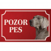 Weimarský stavač krátkosrstý - Kovová tabuľka POZOR PES