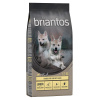 Briantos Junior kuracie so zemiakmi - BEZ OBILNÍN - 2 x 12 kg
